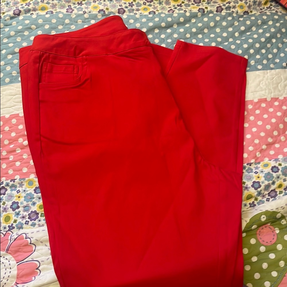 SHEIN Red Chinos Classic Cotton Pants
